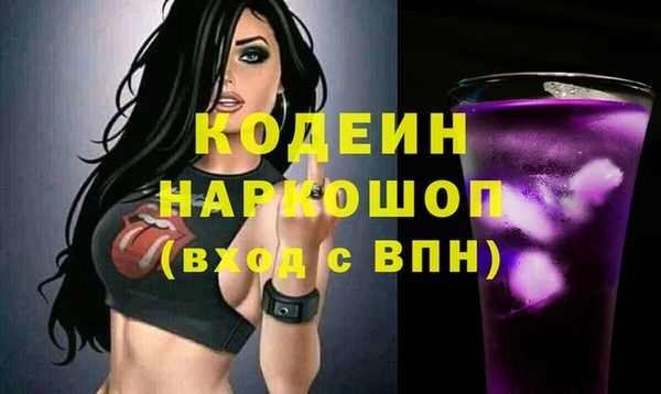 гашик Кодинск