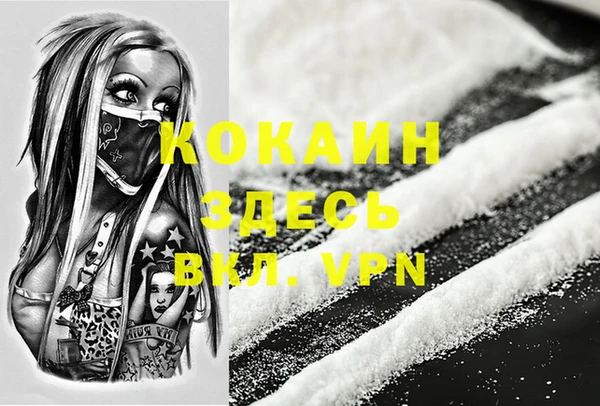 гашик Кодинск
