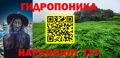 прущие грибы Аргун