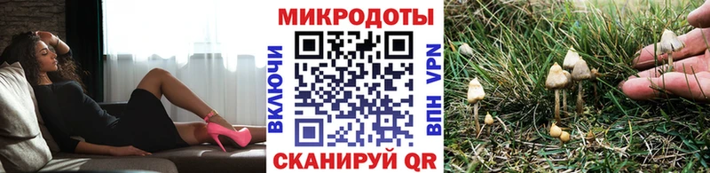 Галлюциногенные грибы мухоморы  Михайловка 